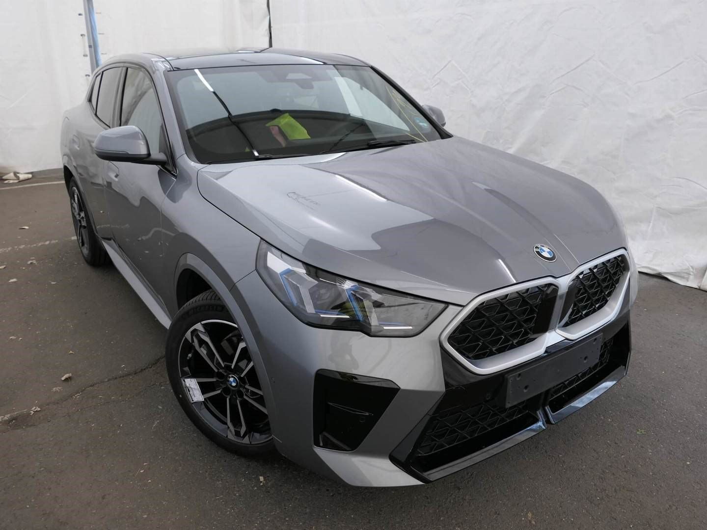 BMW X2 xDrive20d M SPORTPAKET PANORAMA AHK MEMORY foto 4