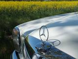 Mercedes-Benz ++ DB 200/8 Automatic, W115, unrestauriert... - Mercedes-Benz mit Benzin-Antrieb: W115