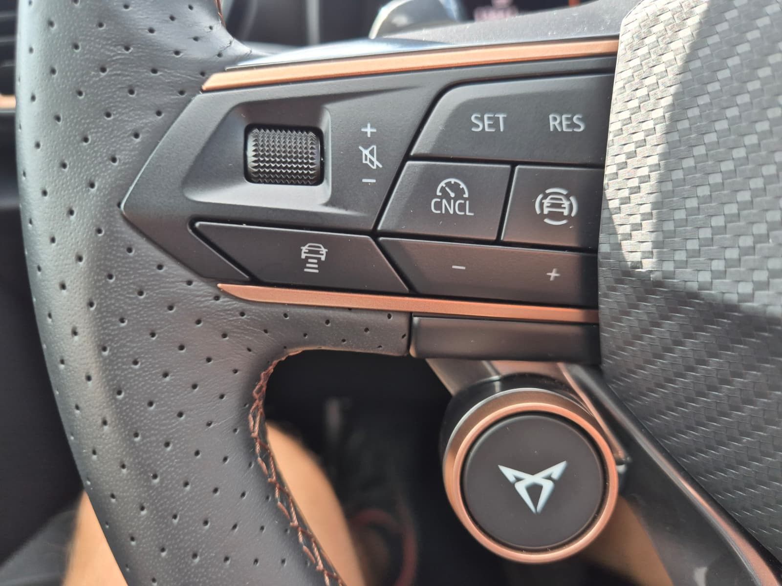 Fahrzeugabbildung CUPRA Leon 1.5 eTSI DSG PANO*AHK*DYNAMICA*EDGE*18" 5JG
