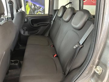 Bild 19 Fiat Panda Cross