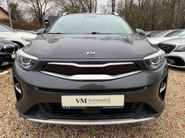 Kia Stonic Platinum Edition Kam*Tempo*Nav*Leder*Pano