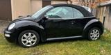 Volkswagen Beetle Cabrio 1Y - Volkswagen Beetle aus 2003: Cabrio
