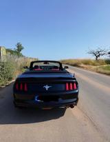 Ford Mustang 3,7l  V6. * US Import * - Ford Mustang: Cabrio, V6