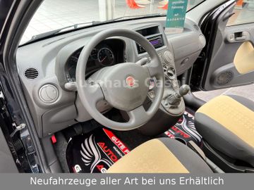 Fahrzeugabbildung Fiat Panda 1.2 Dynamic*2Hd*Klima*Servo*Zahnriemen-Neu