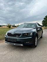 Skoda Octavia Scout 4x4 AHK+DSG+PANO+Tempo... - Skoda Octavia mit Benzin-Antrieb: Scout