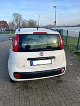 Fiat Panda  - gebrauchte Fiat Panda aus dem Jahr 2013