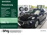 Skoda Octavia Combi Ambition 1,0 TSI e-TEC 81 - Skoda aus 2024