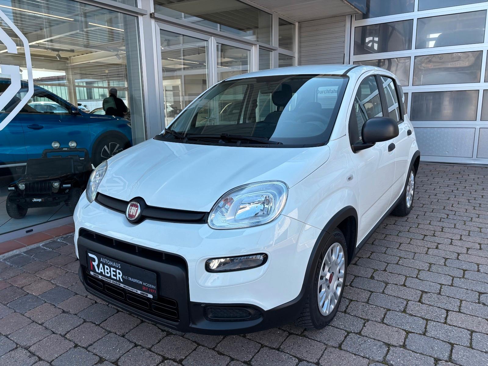 Fiat Panda 1.0 Mild-Hybrid Benziner 71 PS