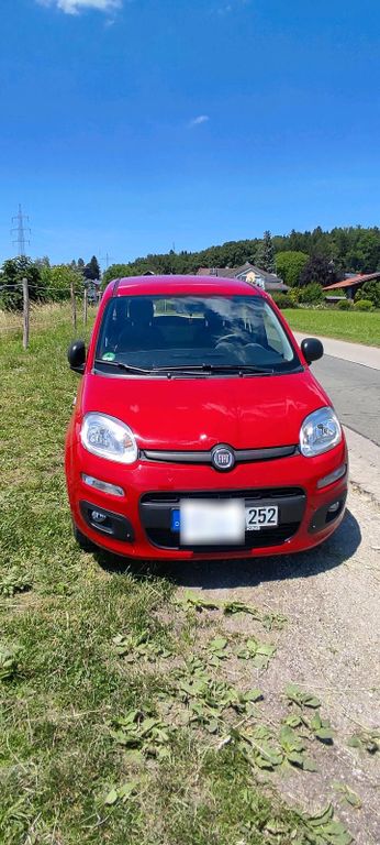 Image of Fiat Panda
