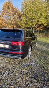 Audi SQ7 4.0 TDI quattro tiptronic - - Audi SQ7 aus 2019