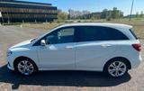 Mercedes-Benz B 200 CDI, weiss, mit AHK, Panoramadach - : Allradantrieb, Van, mit