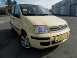 Fiat Panda 1.3 16V JTD Dynamic*Alu* - Fiat Panda aus 2008