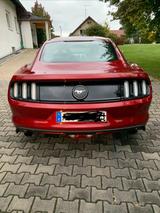 Ford Mustang 2.3 EcoBoost Premium - Europ. Modell  - Ford Mustang: Premium