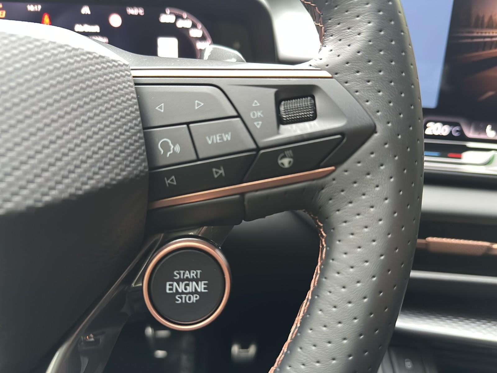 Cupra Terramar 1.5 eTSI Matrix DCC Navi el.HK 360°Kam