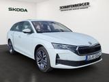 Skoda Octavia C. Balance 1.5TSI mHEV DSG*AHK, Head-Up* - Skoda Octavia: Kombi