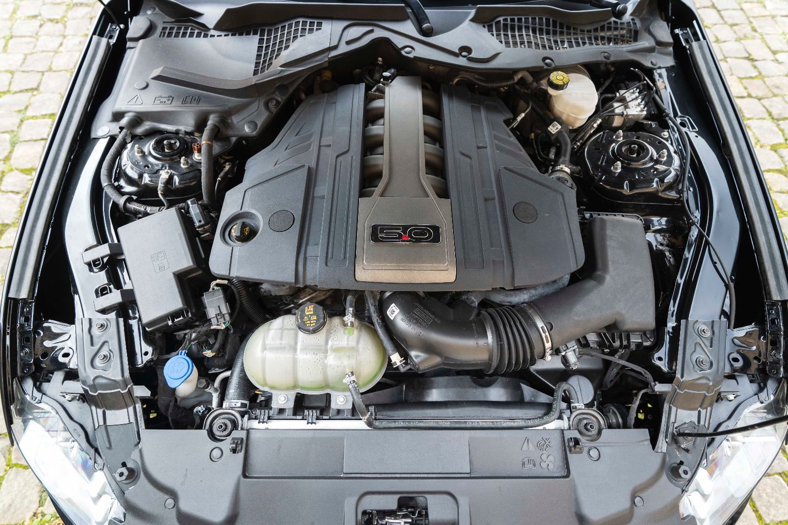 Fahrzeugabbildung Ford Mustang GT 5.0L KAM LED TOTW SHZ/K AUTO LEDER