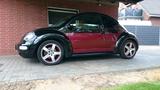 Volkswagen New Beetle (limitiertes Sondermodell) Domingo - gebrauchte Volkswagen Beetle aus dem Jahr 2005