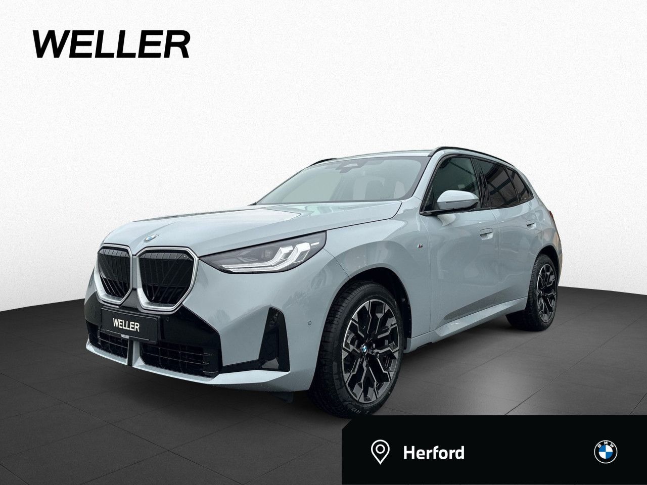 BMW X3 20d xDr MSport DrAss AHK PaAss Memo KlimAut.