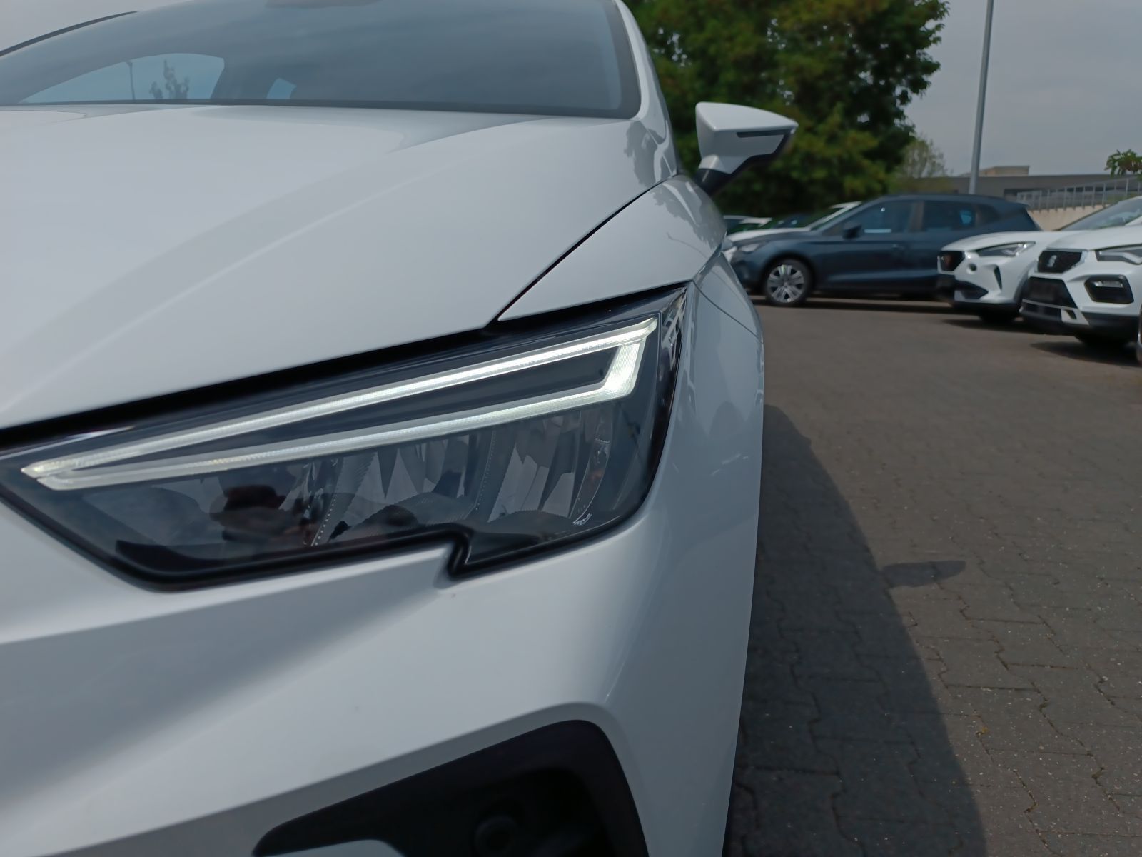 Seat Ibiza - Bild 8