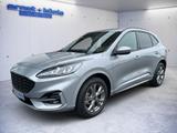 Ford Kuga 2.0 EcoBlue 4x4 Aut. ST-LINE - Ford Kuga mit Diesel-Antrieb: Allradantrieb, 2.0