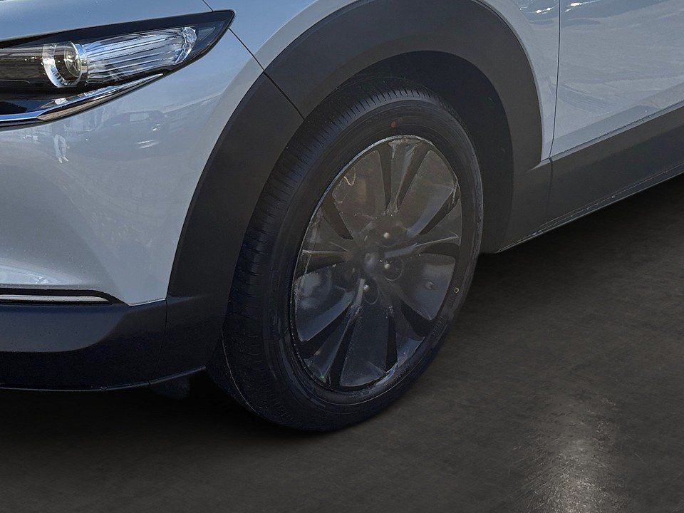 Fahrzeugabbildung Mazda CX-30 X 2.0i 186PS A/T Homura
