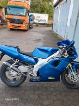 Yamaha TZR 125 Belgarda 2 Takt - YAMAHA TZR 125