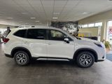 Subaru Forester Active - Subaru Forester: Active