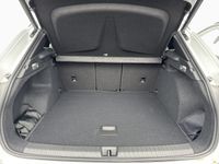 Cupra Terramar - Vorschau Bild 14