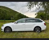 Skoda Octavia Combi 2.0 TDI DSG AHK Super ... - Skoda Octavia: Super