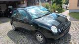 Volkswagen Lupo 1.0 BASIS Basis - Volkswagen Lupo: Basis