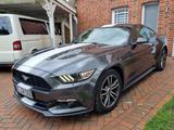 Ford Mustang 2.3 Coupe Aut-+Keyless+Kamera+Bi-Xenon+ - Ford Mustang