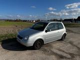 Volkswagen Lupo 1.0 BASIS Basis - Volkswagen Lupo: Basis