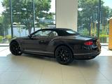 Bentley Continental GTC | Bentley Nürnberg - Bentley New cars