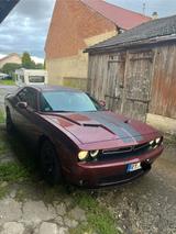 Dodge Challenger - Dodge Challenger mit LPG-Antrieb: Sportwagen