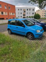 Fiat Panda - Fiat Panda Gebrauchtwagen in Kassel