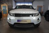 Land Rover Range Rover Evoque 2.2 TD4 Coupe Pure Couoe Lede - Land Rover Range Rover: Weiß