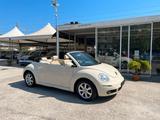 Volkswagen New Beetle 1.6 Cabrio - Volkswagen New Beetle: Beige