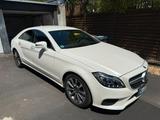 Mercedes-Benz CLS 250d 4MATIC - Mercedes-Benz CLS-Klasse: Limousine