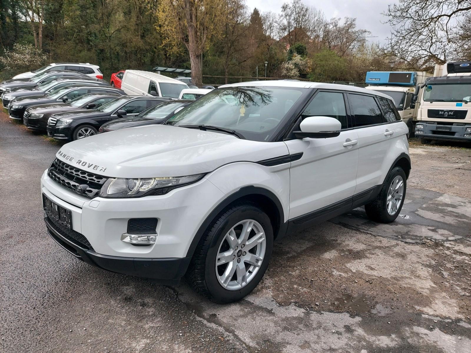 Land Rover Range Rover Evoque 2.2 Pure 4x4&Navi&Leder&RFK