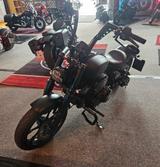 Indian Chief Dark Horse  - INDIAN CHIEF DARK HORSE
