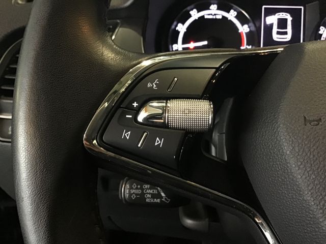 Fahrzeugabbildung Skoda Fabia Clever Best of 1.0 TSI ACC/Pano/Navi/LED