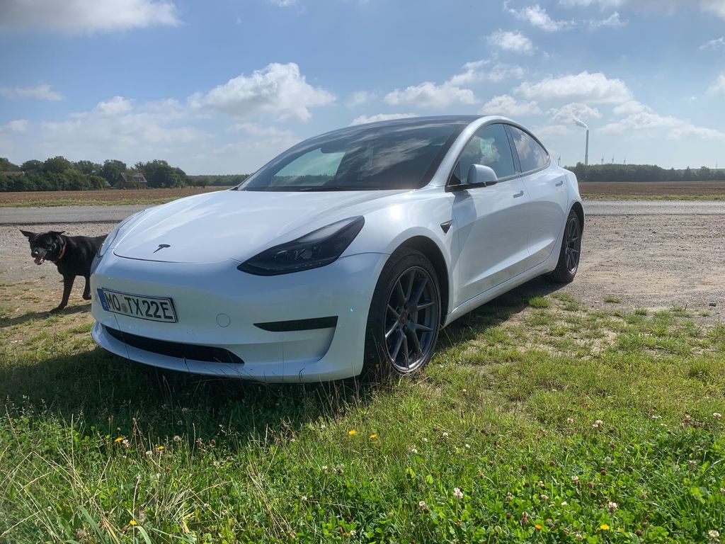 Image of Tesla Model 3