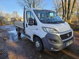 Fiat Ducato Dreiseitenkipper sauber - Angebote