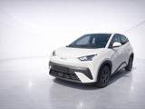 BYD Dolphin Surf Boost 43.2 kWh Sofort Verfügbar - BYD DOLPHIN SURF