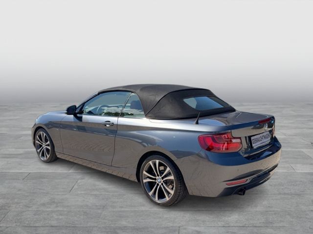 220i CABRIO LINE LEDER XENON REAR VIEW SPORT FW