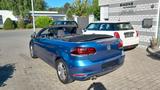 Volkswagen Golf VI Cabriolet Kamera/Navi/SHZ/Park Assist/ - Volkswagen Golf: Cabrio, Vi