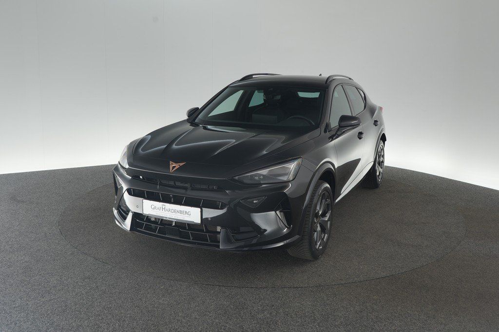 Cupra Formentor 2.0 TDI DSG ACC 360° Kamera Navi AHK