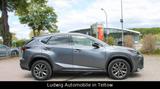 Lexus NX 200 t Sport Leder*Automatik - Lexus: Allradantrieb