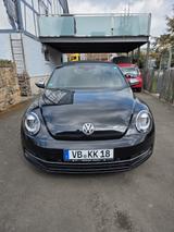 Volkswagen Beetle 1.6 TDI 50's BMT Cabriolet 50's - Leder - - Volkswagen Beetle: TDI