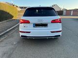 Audi SQ5 TDI tiptronic quattro - - Audi SQ5 in Nürnberg